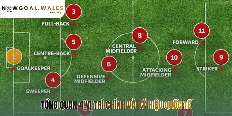Bốn vị trí chính là nền tảng của mọi sơ đồ chiến thuật